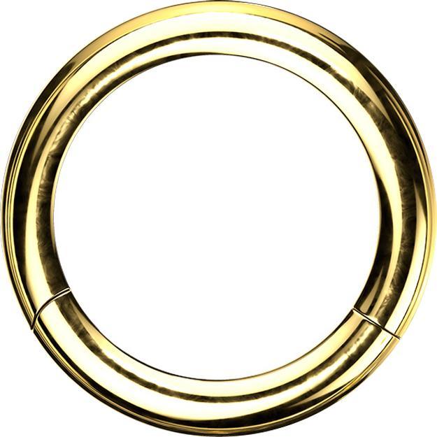 Actual product image Star Piercing Segment ring hinged gold plated (without brass, Surgical steel 316L)