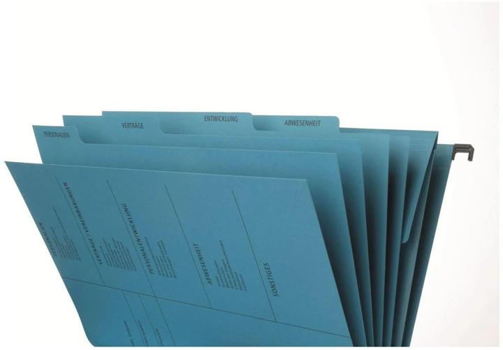 Actual product image Pagna Personal file A4 Blue (A4, 1 x)