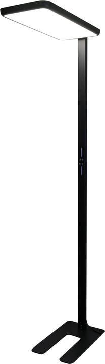 Actual product image Luxula LED office floor lamp, up/down, black (7000 lm)