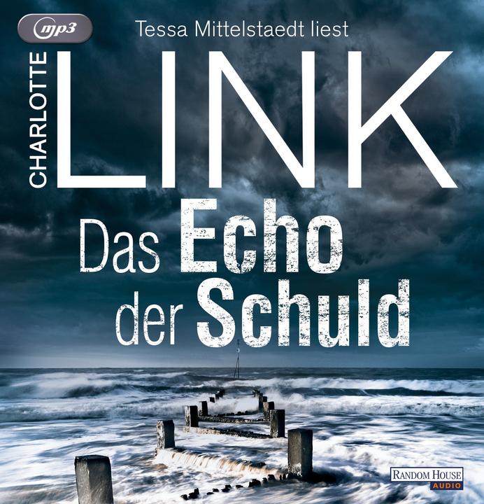 Actual product image The echo of guilt (Charlotte Link, German)