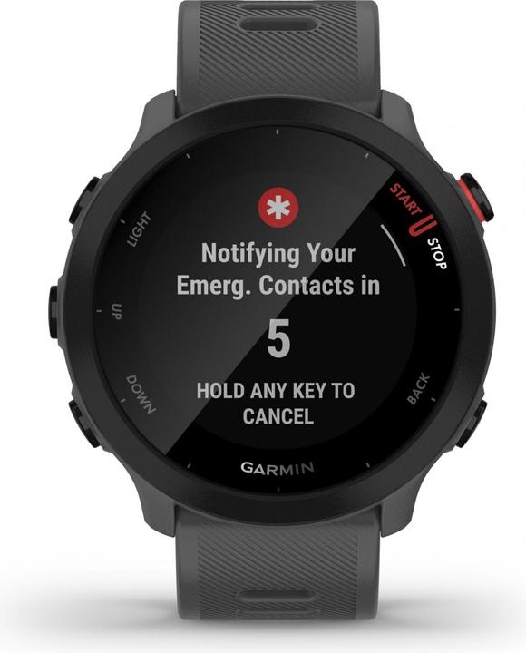 Immagine prodotto Garmin Forerunner 55 (42 mm)