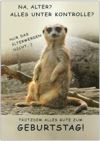 Produktbild ABC Geburtstagskarte Erdmännchen - Na, Alter?,braune Doppelke