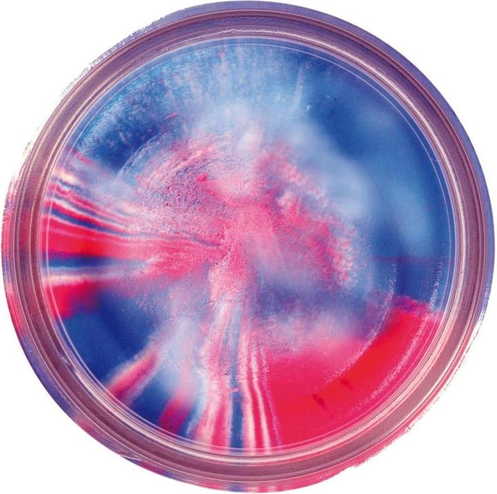 Image du produit Berkley Powerbait Natural Scent Garlic Captain America