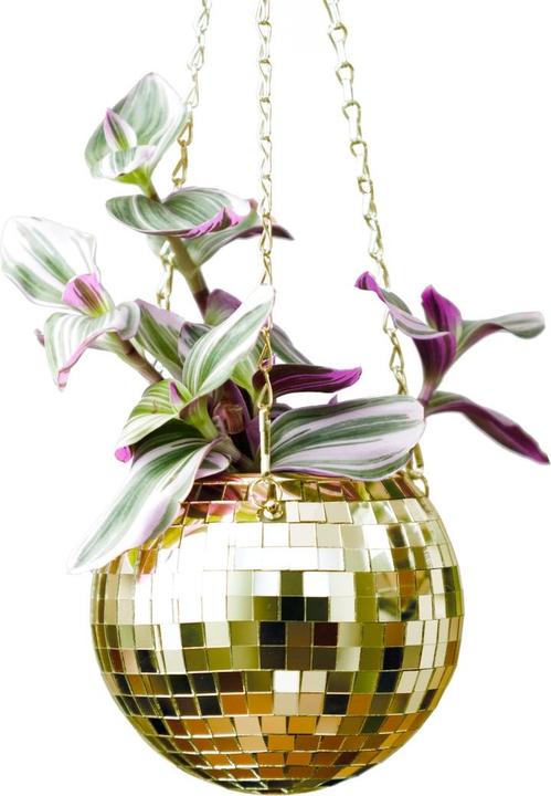 Image du produit Bubblegum Discokugel Pflanzentopf zum aufhängen Gold