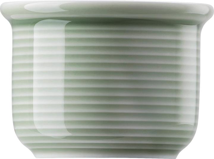 Thomas Trend Colour (1 x)
