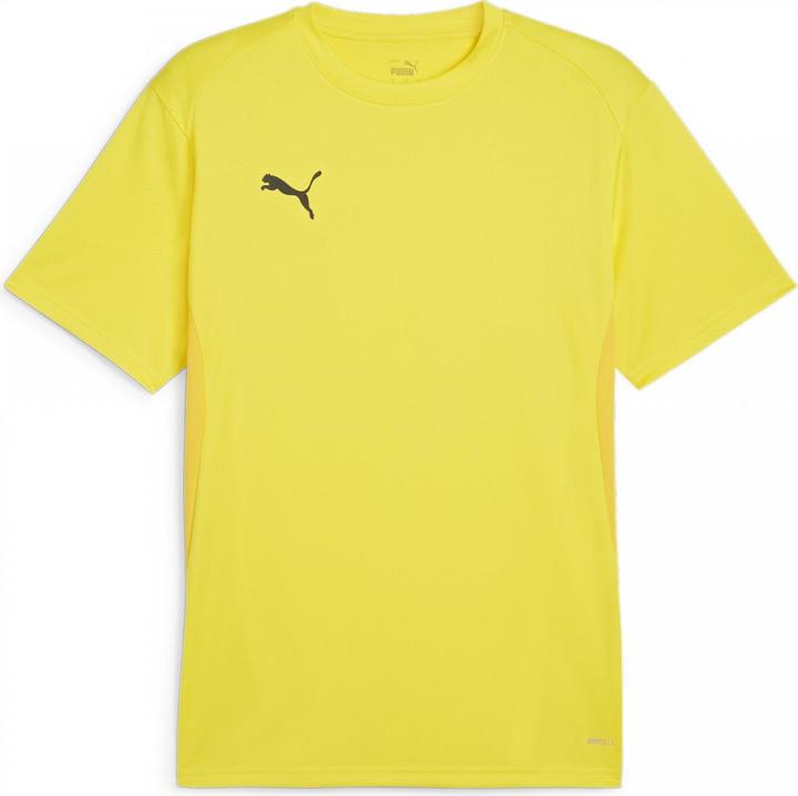 Actual product image Puma teamGOAL Jersey (L)