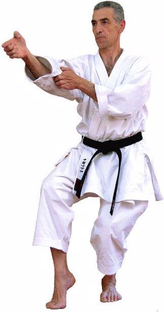Actual product image Kaiten Karategi Sovereign Superior (L, XL)