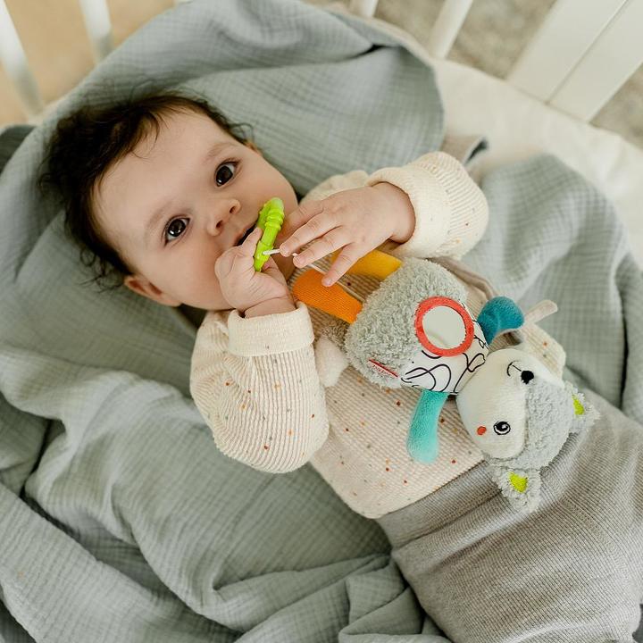 Produktbild Fehn Spieluhr Mini DoBabyDoo Fuchs, Material: Druckstoff