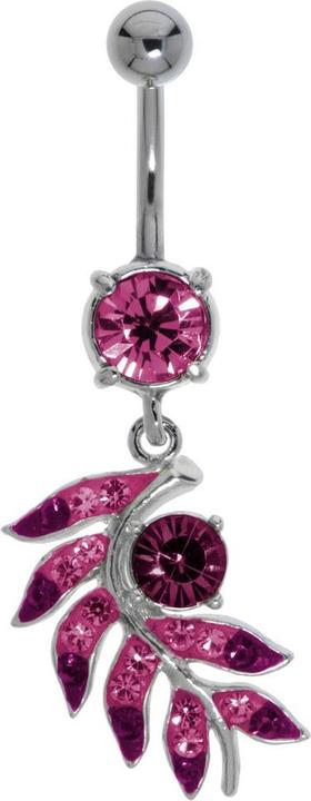 argentato, Fucsia