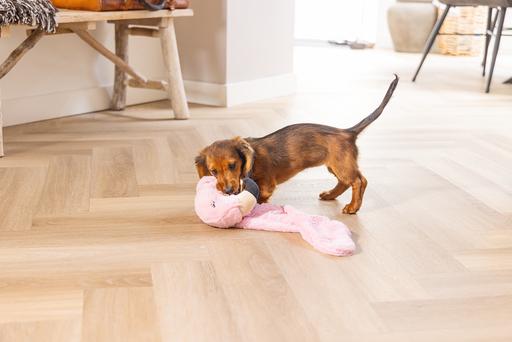 Productafbeelding Beeztees Puppy Flatino Flamingo Fe (Puppy speelgoed)