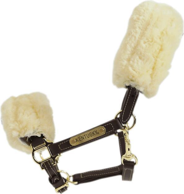 Produktbild Kentucky Horsewear Pony Lederhalfter