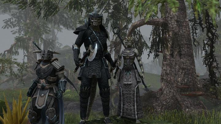 Immagine prodotto Bethesda The Elder Scrolls Online - Tamriel Unlimited (PS4)