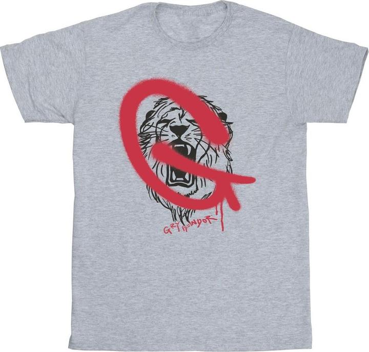 Image du produit - T-shirt GRYFFINDOR POP SPRAY - Garçon (104)