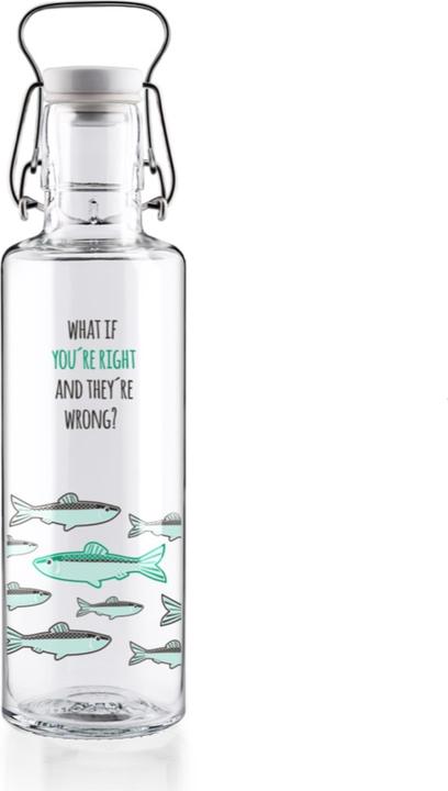 Image du produit Soulbottles Gourde Tu as raison 0.6L (0.60 l)