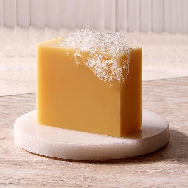 Image du produit Christophe Robin Shampooing Solide hydratant à l'aloe vera (100 ml, Shampoing solide)
