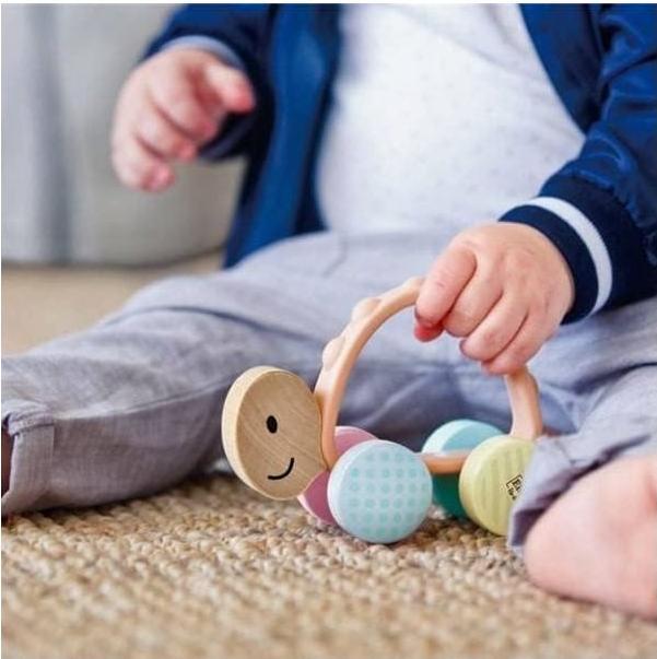 Actual product image Hape Racing turtle Rike