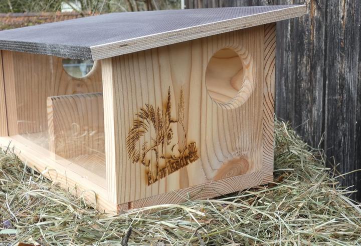 Actual product image Arbrikadrex Squirrel Feeder