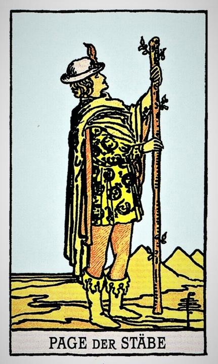Actual product image Premium Tarot von A.E. Waite (German, Arthur Edward Waite, 2017)