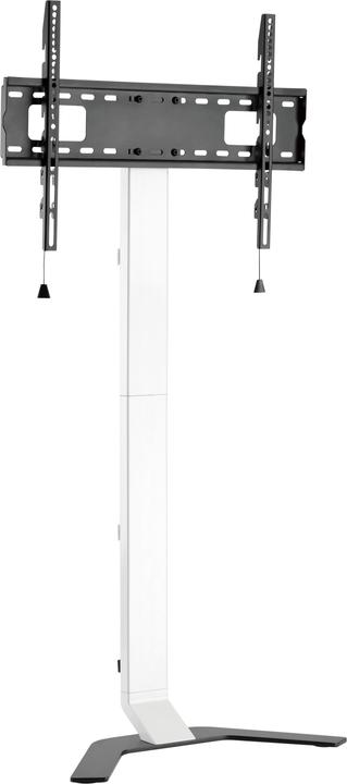 TV + Display stands