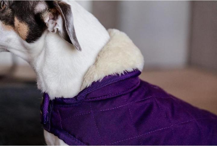 Produktbild Kentucky Dogwear Hundemantel Original (XXS, Hundemantel)