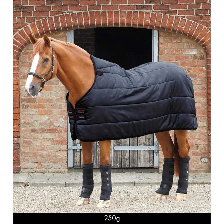 Immagine prodotto Premier Equine Lucanta 250 g (213 cm)