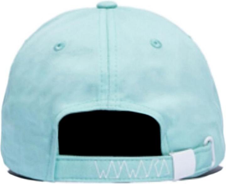 Actual product image Wayward Big Tyme Adjustable Cap (One size)