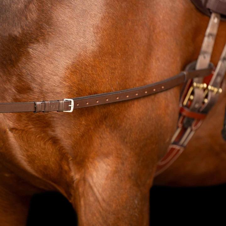 Produktbild Imperial Riding Elastische Ausbinder