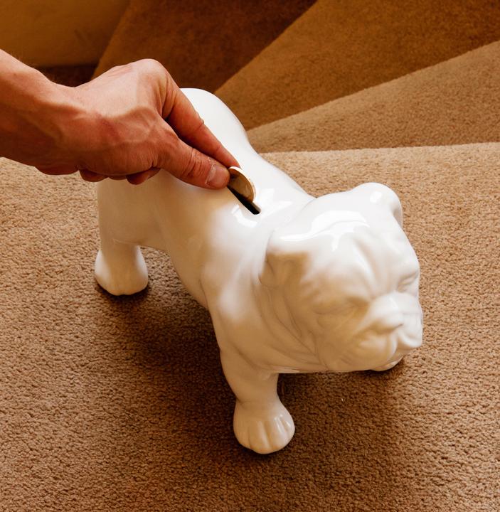 Immagine prodotto Suck UK Bull Dog Money