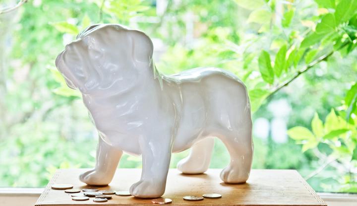Immagine prodotto Suck UK Bull Dog Money
