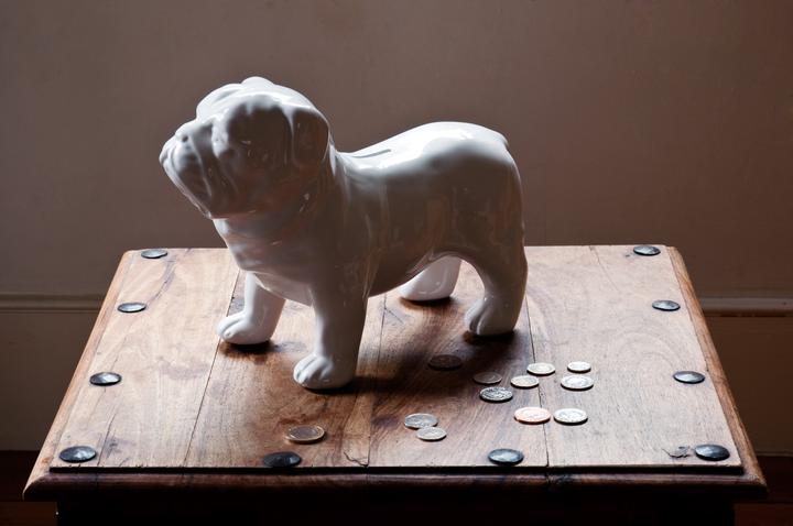 Immagine prodotto Suck UK Bull Dog Money