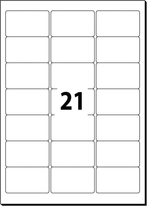 Actual product image Sigel Address labels