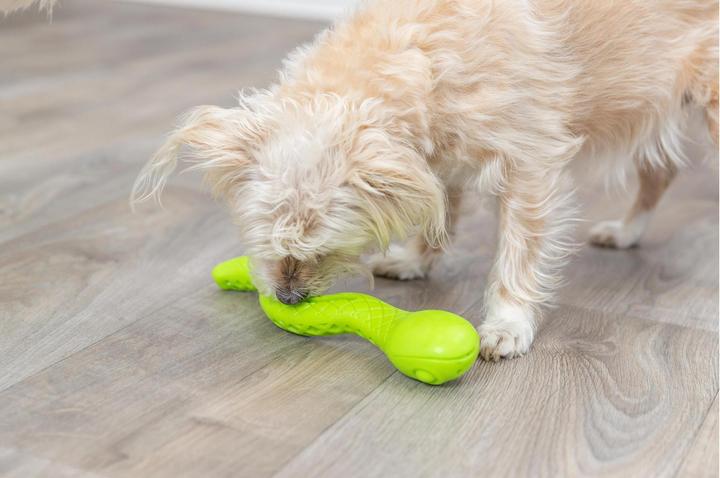 Produktbild Trixie Hunde-Spielzeug Snack-Snake, 27 cm, Grün (Kauspielzeug Hund)