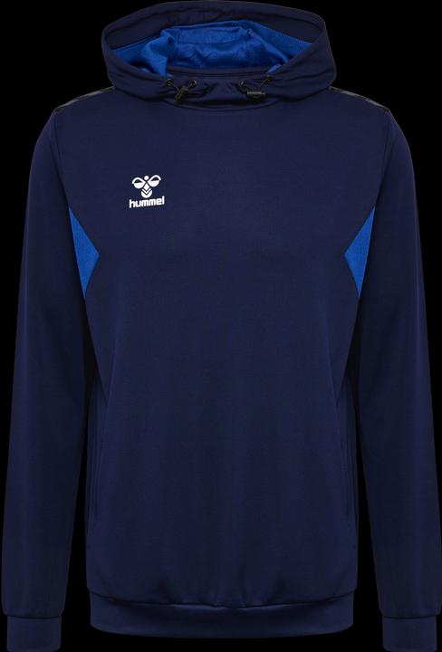 Actual product image hummel Hmlauthentic Pl Hoodie (L)