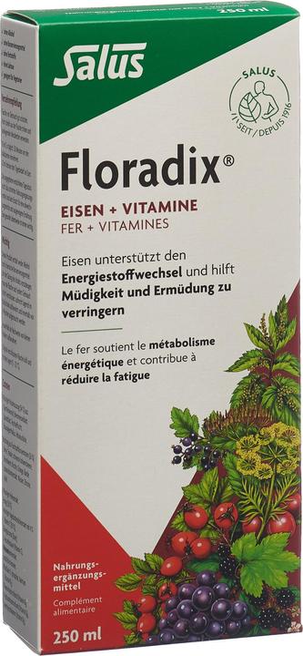 Salus Eisen + Vitamine (1 Stück, Flüssigkeit, 605 g)