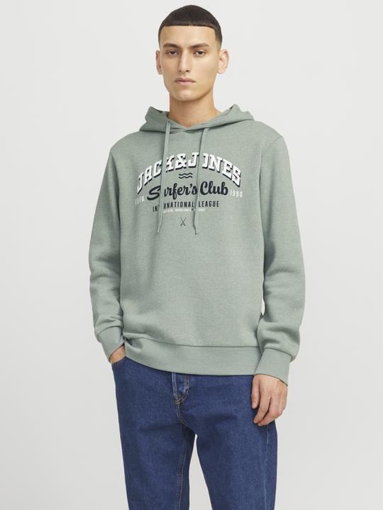 Produktbild Jack & Jones JJELOGO SWEAT HOOD 2 COL 24/25 NOOS (S)