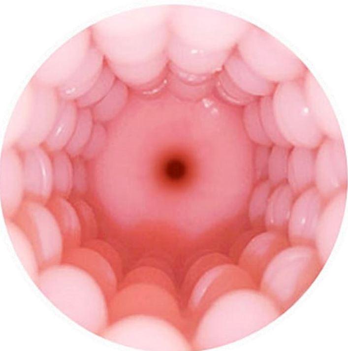Immagine prodotto Lovense manicotto vagina