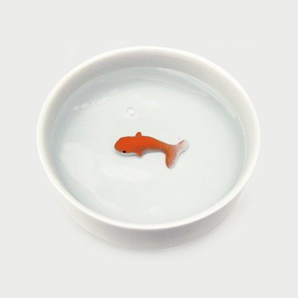 Immagine prodotto Suck UK ciotola per animali da compagnia di pesce