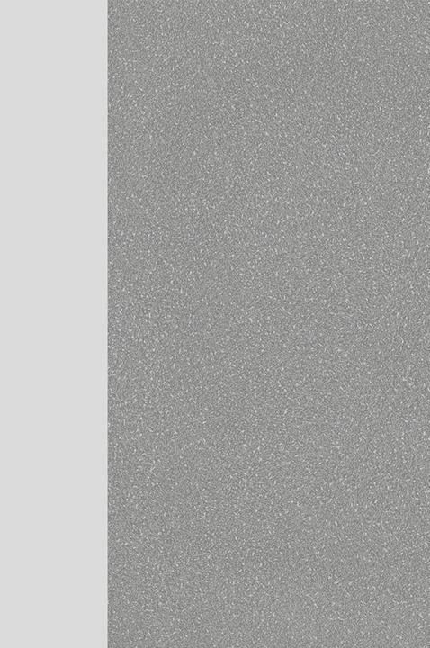 Produktbild Germania JET höhenverstellbarer Schreibtisch lichtgrau rechteckig, T-Fuss-Gestell silber 180,0 x 80,0 (180 x 72 cm)