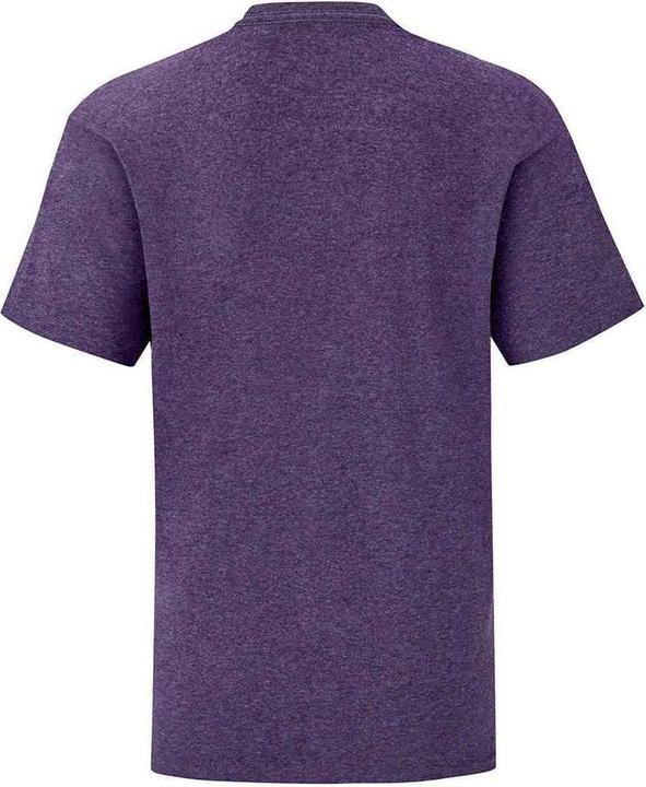 Actual product image Fruit of the Loom Childrens/Kids Iconic Heather T-Shirt (140)