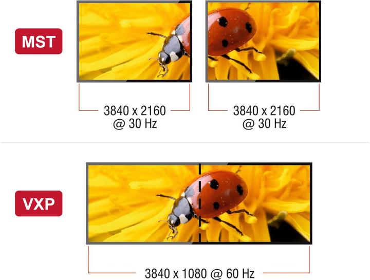 Actual product image Delock USB Typ-C zu 2 x HDMI (HDMI, 20 cm)