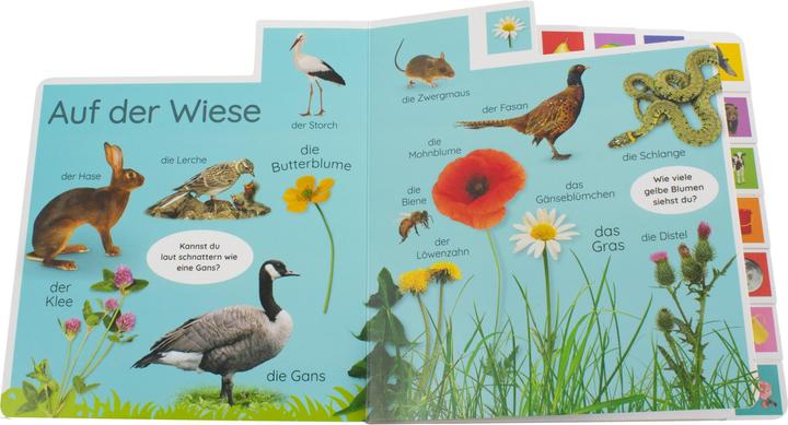 Actual product image Erstes Lernen. In der Natur (German, DK Verlag - Kids, 2021)