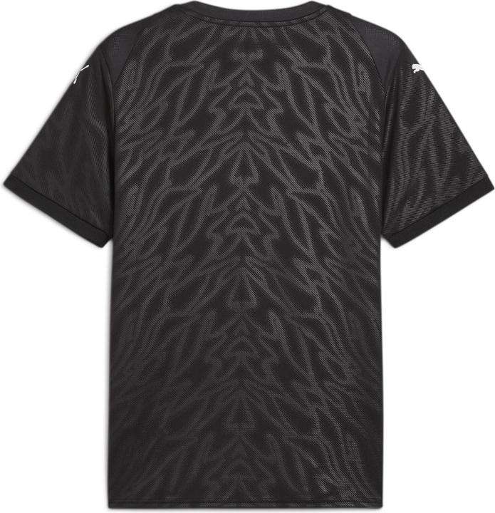 Image du produit Puma teamCUP Jersey (S)