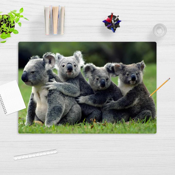 Actual product image CoverYourDesk Schreibunterlage KOALA (60 x 40 cm)