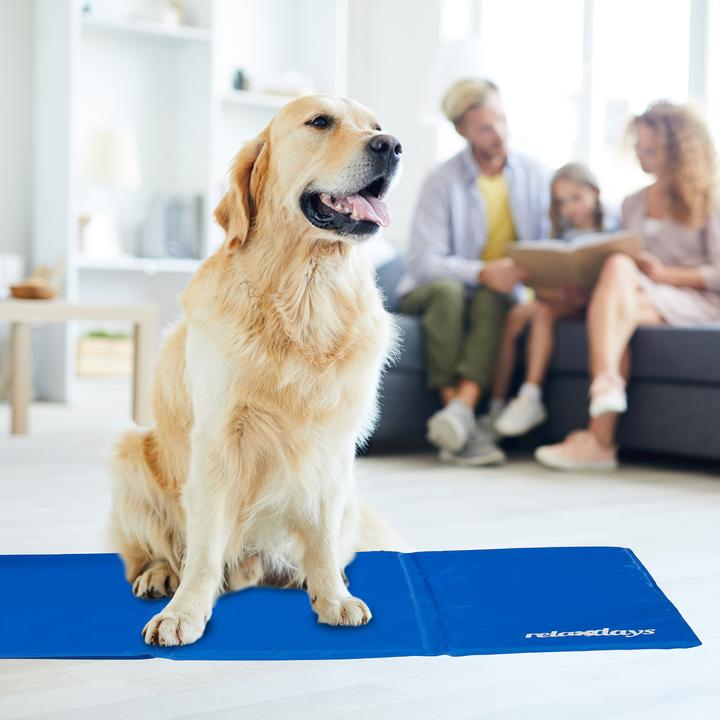 Immagine prodotto Relaxdays Tappeto di raffreddamento (Cane)