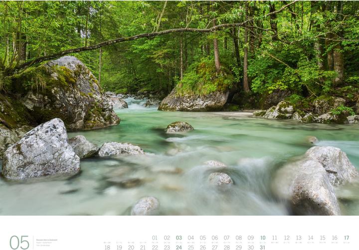 Produktbild Wald - Gallery Kalender 2026 (66 x 50 cm, Harter Einband, Englisch, Deutsch)
