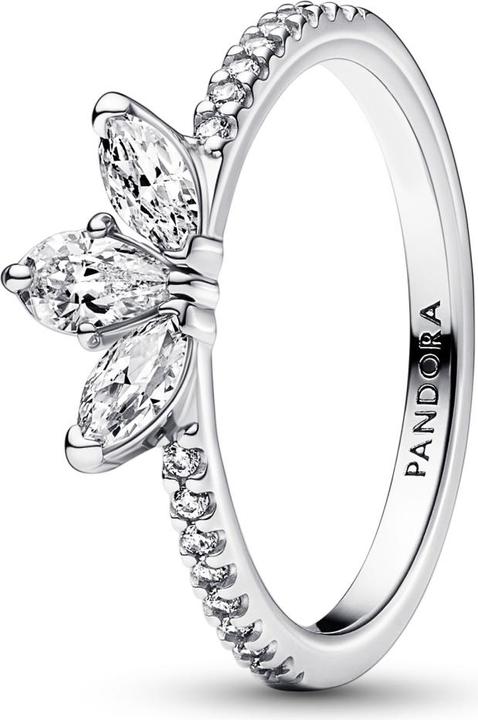 Produktbild Pandora Ring Sparkling Herbarium Cluster (52, 925 Silber)