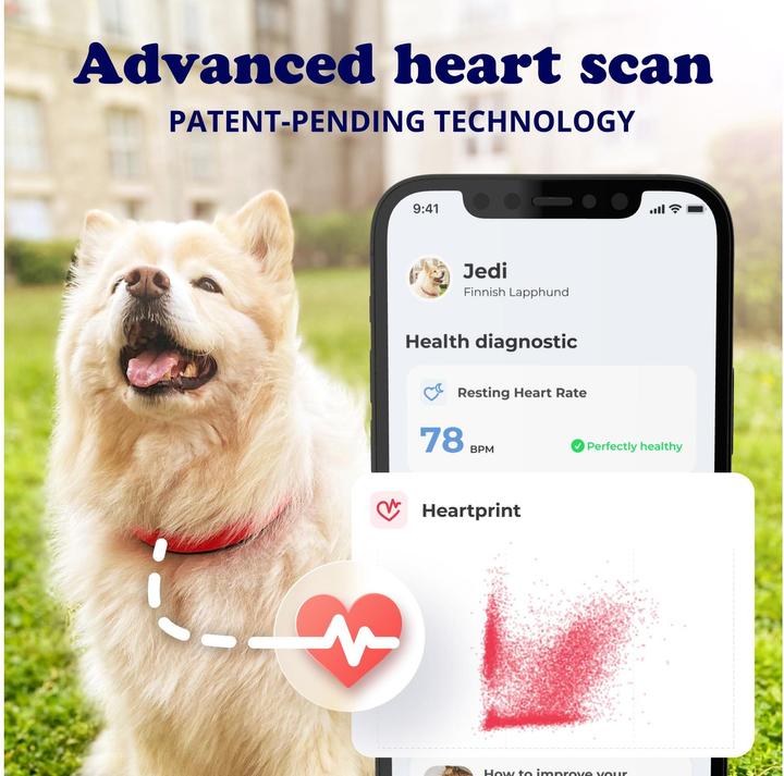 Produktbild Invoxia Smart Dog Collar taille S (Hund)