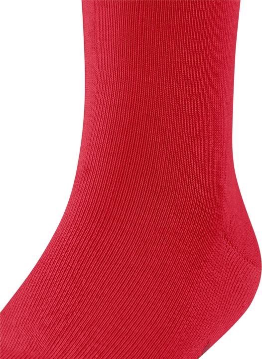 Actual product image Falke Family Kids Socks (Single pack, 19 - 22)
