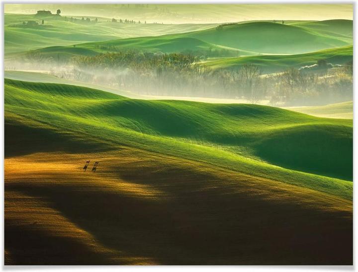 Actual product image Trenddeko Browko - Green meadows (80 x 60 cm)