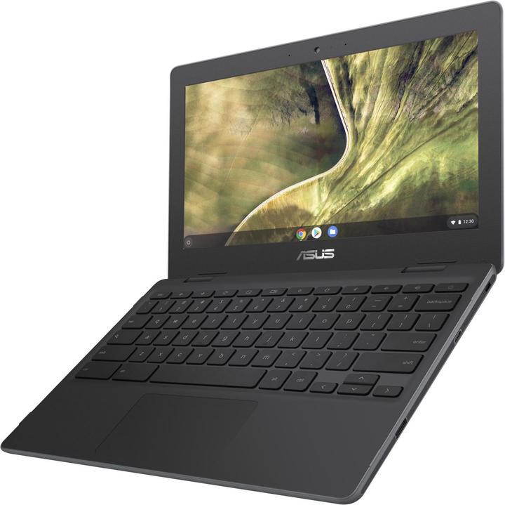 Actual product image ASUS Chromebook – C204MA-GJ0023 (11.60", Intel Celeron N4000, 4 GB)